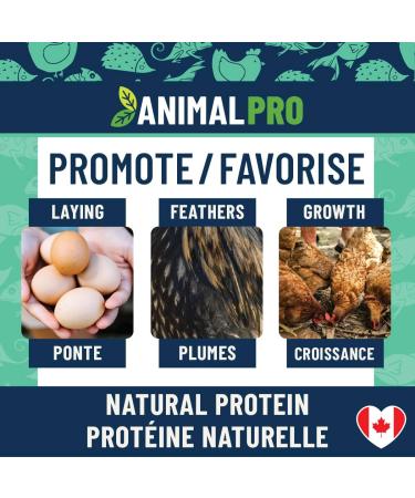 AnimalPro Crickets for birds 454 g - 1 LB - Buy Online on GoSupps.com