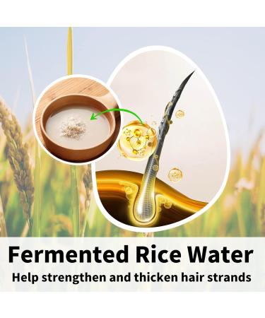 Rice Shampoo Bar & Conditioner Set | Natural Hair Growth & Strengthening | Paraben & Sulfate Free | Rice Water Infused | 2pc for Thinning Hair - Buy Online on GoSupps.com