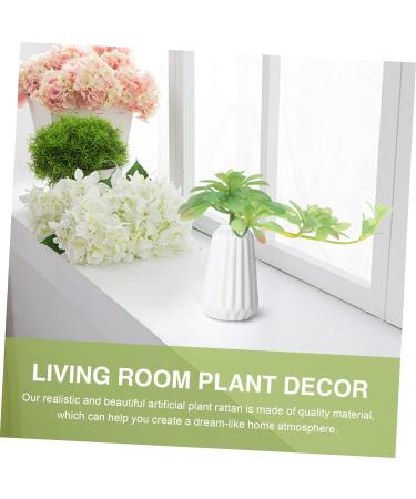 Zerodeko 2 Pcs Simulation Plant Succulent Outdoor Small Greenery Decor Artificial Succulents Photo Mini Decor Plants Wedding Scene Layout Prop Plastic Child Christmas The Flowers Greenx2pcs 29x18cmx2pcs - Buy Online on GoSupps.com