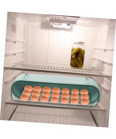 GLEAVI 1 Pc Slide Egg Collection Egg Stacker for Refrigerator Double Layer Food Container Protective Box Green 28.5X15CM - Buy Online on GoSupps.com