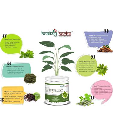Nutranix ads Insulin Plant Leaf Tea (Costus Igneus) - Blood Sugar Support - Pack of 100g Pure Insulin Plant Powder - Buy Online on GoSupps.com