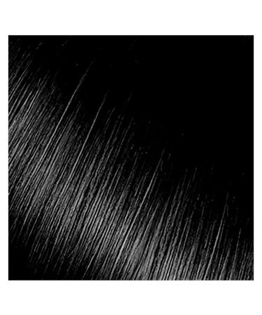 Kiss Express Semi-Permanent Hair Color Black 3.5 Fl Oz (Pack of 2) - 100mL (3.5 US fl.oz), 2 Count - Buy Online on GoSupps.com