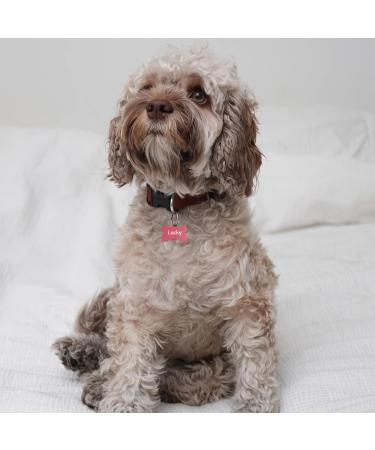 Custom Engraved Pink Dog Tag Bone - ENGRAVO | International Shipping Available - Small 32mm with 2 Key Rings - Buy Online on GoSupps.com