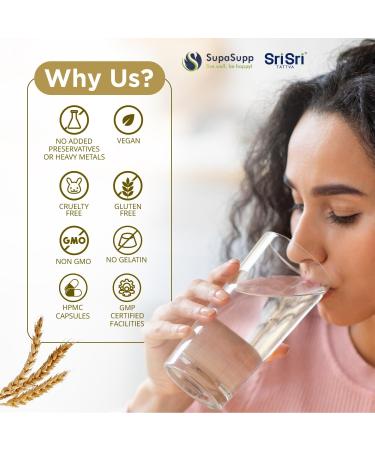 SRI SRI TATTVA VIT-E Wheat Germ Oil 500mg (60 Capsules) - Buy Online on GoSupps.com