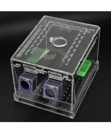 Cricket Keeper with Tubes Durable Acrylic Cricket Feeding Tank Box Portable Easy To Clean Cricket Care Kit for Observation Insect Breeding(L) - Buy Online on GoSupps.com