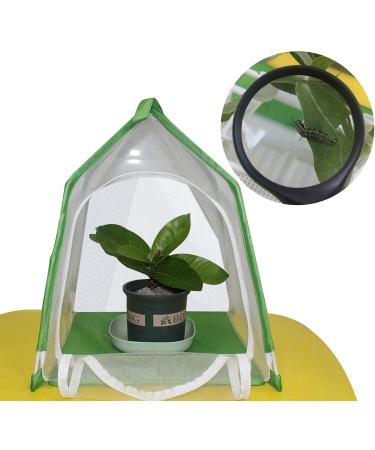 2 Pcs Portable Habitat | Insect Habitat Cage Catcher Plant Net with Hook Polyester Mesh Cage Enclosure for Caterpillars Stick Insect 12.2x12.2x15.7 Inch Kot-au 2 Pcs 31*31*40cm - Buy Online on GoSupps.com