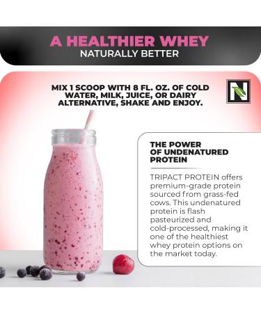 Nutrology TRIPACT Protein Powder 7-in-1 Meal Replacement Shake Superberry (40 Servings) Zen Natural Magnesium Supplement (30 Servings) - Buy Online on GoSupps.com