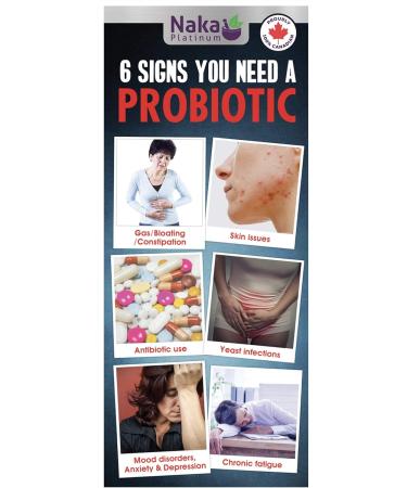 Naka Platinum Probiotic + Organic Prebiotic 45 Billion Input Live Cultures from 7 function specific strains 250 mg L-Glutamine 600 mg 100% Pure Soluble Fibre from Organic Inulin Bonus Size 300 mg Powder (250+50 Free) - Buy Online on GoSupps.com