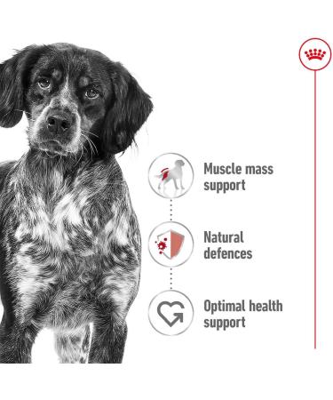 Royal Canin Medium Adult 4 kg - Buy Online on GoSupps.com