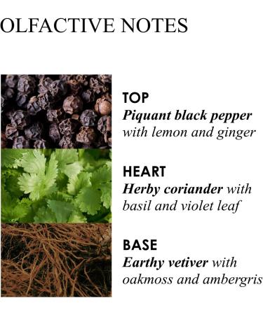 Molton Brown Black Pepper Bodyscrub Bar - Exfoliating Soap Bar for Smooth Skin - Buy Online on GoSupps.com