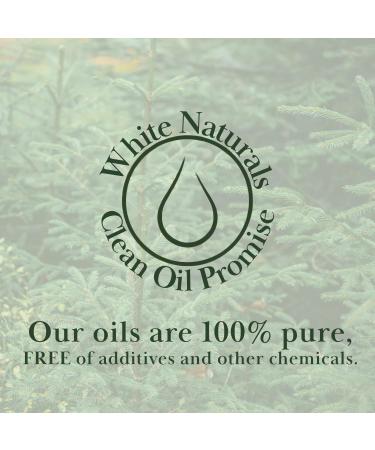 Cypress Essential Oil 100% Pure & Natural Therapeutic Grade Essential Oil for Aromatherapy Diffusers Undiluted for Healthy Skin & Hair Growth Ideal for Bedroom Living Room Office 1oz Cypress 1 Fl Oz (Pack of 1) - Buy Online on GoSupps.com