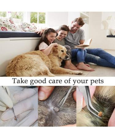 3PCS Stainless Steel Tick Remover Tool Set for Dogs, Cats, Horses - Safe Tick Removal Kit with Double-sided Tweezer, Tick Hook, Tick Tweezer - In Iron Box - Christmas Gift - Buy Online on GoSupps.com