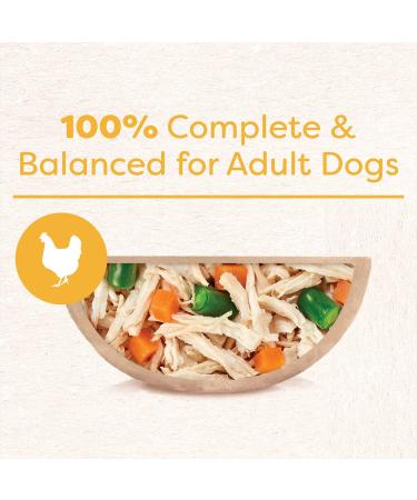 CESAR Wholesome Bowls Wet Dog Food Chicken Sweet Potato & Green Beans 85g Pack of 10 Chicken Sweet Potato & Green Beans 85 g (Pack of 10) - Buy Online on GoSupps.com
