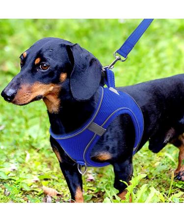 Joytale Reflective Soft Padded Dog Harness Air-Mesh Breast Dishes for Small & Medium Dogs (Size M 42-47cm Royal Blue) International Shipping Available - Buy Online on GoSupps.com