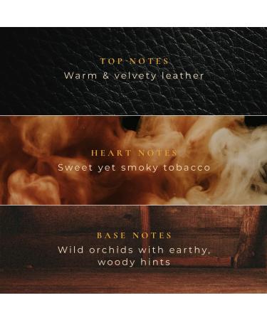 Gya Labs Santal in Black Fragrance Roll On - Santal Fragrance Oil Roll On Perfume for Men & Women Smoky Woody Scent for All Type of Skin Travel Size (0.34 Fl Oz) - Buy Online on GoSupps.com
