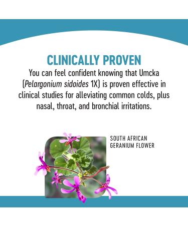 Nature's Way Umcka ColdCare Children's Cherry Syrup - Kids 6+ - 4 oz - Buy Online on GoSupps.com