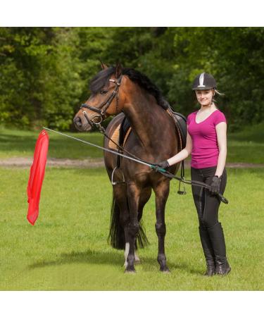 10Pcs Equestrian Training Flags Equestrian Training Equipment Equestrian Nylon Flags With Flagpole Training Flag Horsemanship Flag Horse Lunging Training Stick Animal Flag Training Stick - Buy Online on GoSupps.com