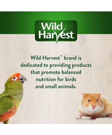 Wild Harvest Foraging Instincts Peck n Play Interactive Treat 2oz for Small Birds - Shop Now! - Buy Online on GoSupps.com