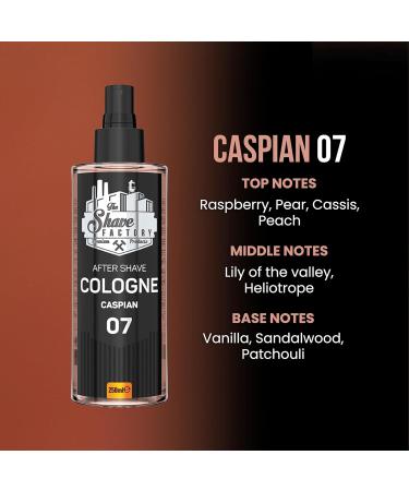 the shave factory After Shave Cologne Series (07 Caspian 250ml (8.45 fl. oz)) 07 Caspian 8.45 Fl Oz (Pack of 1) - Buy Online on GoSupps.com