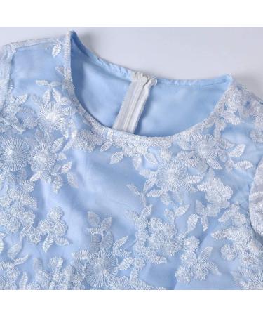 Women's Plus Size Floral Lace Sheath Dress - XXL Blue-1 | Knee Length Work Casual Party Cocktail Dress - Buy Online on GoSupps.com