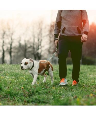 Dacitiery Metal Dog Leash Chew Proof 4FT/1.2M Dog Chain Leash Heavy Duty Anti-Bite Dog Lead Pet Leash with Nylon Soft Padded Handle for Small Medium Large Dogs (3MM) - Buy Online on GoSupps.com