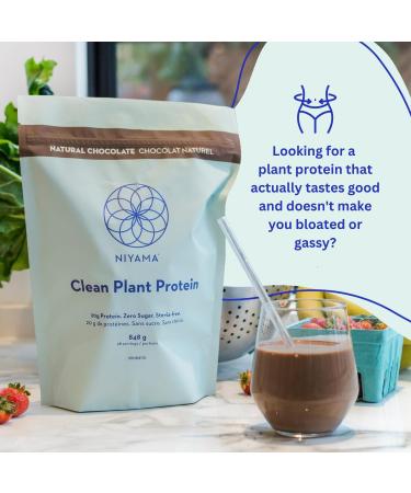 Niyama Clean Plant Protein Powder | Delicious and Smooth Vegan Protein Powder from Organic Peas | Paleo Keto Soy-free Gluten-free No Stevia Zero Sugar | Chocolate Protein Powder (28 servings) (848 g (1 Pack ) Chocolate) Chocolate 848 g (1 Pack ) - Buy Online on GoSupps.com