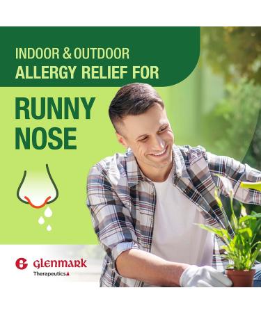 Buy 24-Hour Allergy Medicine - Cetirizine HCl USP Antihistamine 10mg Tablets for Pollen & Hay Fever Relief | 365 Count - Buy Online on GoSupps.com