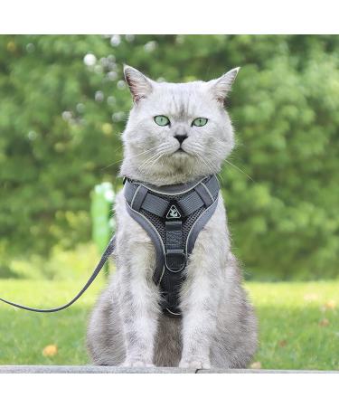 QKTYB Cat Dishes & Leash Set - Retractable Dog Leash & Cat Dishes for Kittens & Dogs (M Gray) - Perfect for Travel & Outdoor Adventures - Buy Online on GoSupps.com