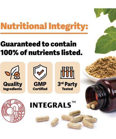 High Absorption Magnesium Glycinate Supplement - 120mg Elemental Magnesium - Non-GMO, Vegan - 90 Capsules - Buy Online on GoSupps.com