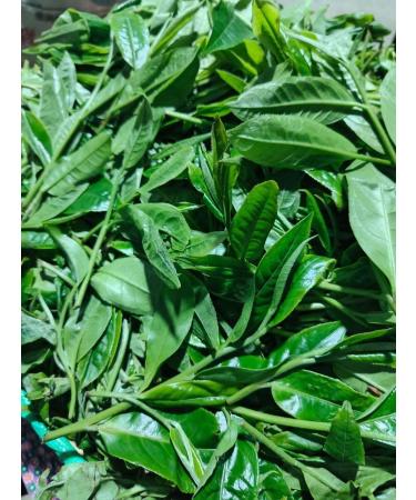 Puerh White Tea Gedeng Mountain 8g Tablets Pack of 10 - Buy Online on GoSupps.com