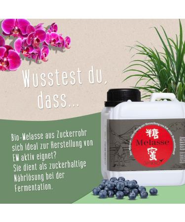 DIMIKRO Sugarcane molasses from Germany (organic quality) - High sugar content for the manufacture of active micro-organisms - Buy Online on GoSupps.com