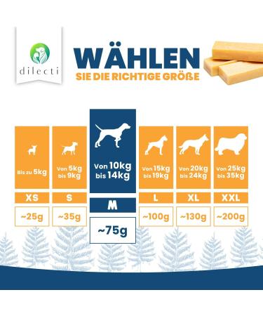 Natural Cheese Chewing Bones for Dogs - Tasty & Durable 5-Pack (Size M) - Long-Lasting Chew Treats - Buy Online on GoSupps.com