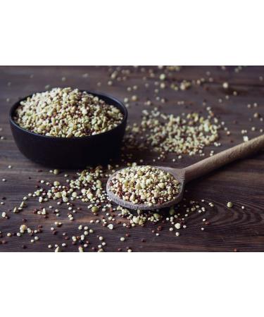 Organic Super Grains Blend 5 Pounds - Millet, Buckwheat, Quinoa Mix | Non-GMO, Vegan, Bulk Superfood - Buy Online on GoSupps.com