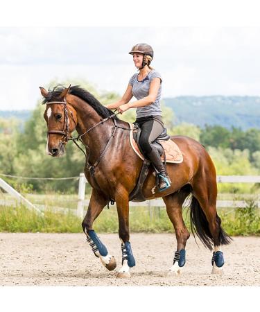 Free Gaiters & String Caps - 4-Set Gaaten Horse Impact Protection Boots for Jumping Riding & Dressage - Neoprene Tendon Guards in Size L Blue - Buy Online on GoSupps.com