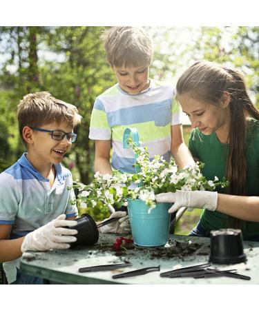 8 Pieces Venus Fly Trap Feeding Tweezers Carnivorous Plant Feeding Tongs Straight and Curved Food Tongs for Flytraps Pitcher Plants Butterwort Reptile Feeding - Buy Online on GoSupps.com