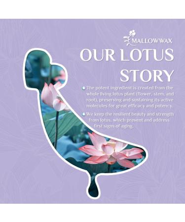 Mallowwax Lotus Under Eye Mask Patches - Targets Dark Shadows, Bags, Puffiness - Anti Wrinkle Pads Kit (20 Pairs) - Buy Online on GoSupps.com