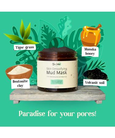 Ola Loko Mud Mask - Exfoliating Detox Clay Mask for Face and Skin, 8.5 Fl Oz - Buy Online on GoSupps.com