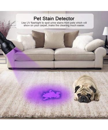 UV Black Light 51 LEDs Flashlight - Mini UV Detector for Pet Urine Scorpion and Fake Banknotes - 395nm Ultraviolet Torch - Buy Online on GoSupps.com