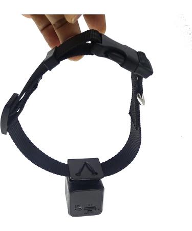 Pet Collar Camera DVR with 16GB TF Card - Black | Monitor & Record Your Dog's Adventures - Buy Online on GoSupps.com