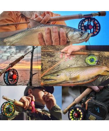 Buy Sprinton Maximuncatch V-Gold 12' Graphite Fly Rod - 4-Piece 4/5/6/8WT Fishing Rod with Cordura Rohr - Perfect for International Shipping - Buy Online on GoSupps.com