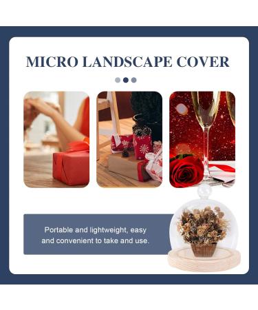 NOLITOY 1 Set Glass Cover High Borosilicate Glass Arch Dust Cover Round 12cm - Buy Online on GoSupps.com