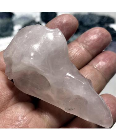 PUNNI Crystal Stone Stone Crow Figurines Natural Gemstone Carved Raven Skull Bird Head Statue Animal Ornaments Home Decoration Accessories Room Decor 1pc SHENGYUYIN (Color : Black Size : 1pc) - Buy Online on GoSupps.com