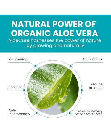 Toe Separators for Bunions - Promifun 8 Pack Toe Spacers | Correct Bunions & Restore Toes | Ideal for Running & Yoga - Buy Online on GoSupps.com