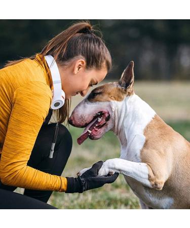 SASHTECH Dog Whistle with Lanyard | Professional Training and Calling Tool for Pets - Constant Frequency, 43cm - Buy Online on GoSupps.com