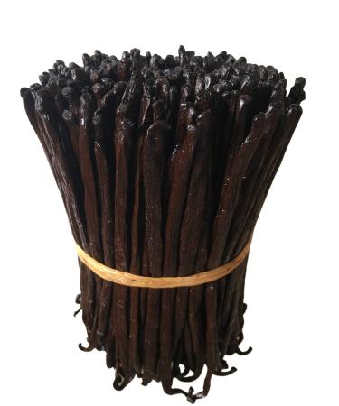 25 Madagascar Vanilla Beans Grade A/B Bulk for Extract and Everything Vanilla| 5"-7" Bourbon Fresh Whole Raw Natural NON-GMO Pods by FITNCLEAN VANILLA.