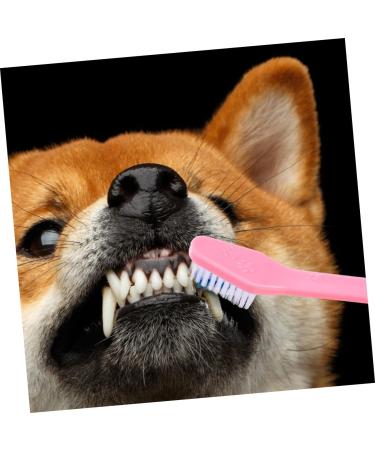 CORHAD 12pcs Double Head Dog Toothbrush Dog Finger Toothbrush Dog Toothbrush Toothpaste Dog Tooth Care Pp - Buy Online on GoSupps.com