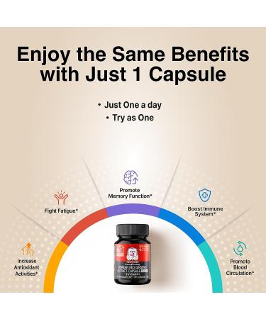 CheongKwanJang Korean Red Ginseng Capsule Plus Extract - 30 Capsules - Buy Online on GoSupps.com