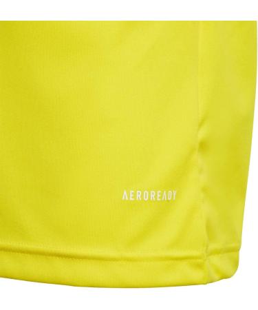 Adidas Unisex Squadra 21 Polo - Buy Online | International Shipping Available - Buy Online on GoSupps.com