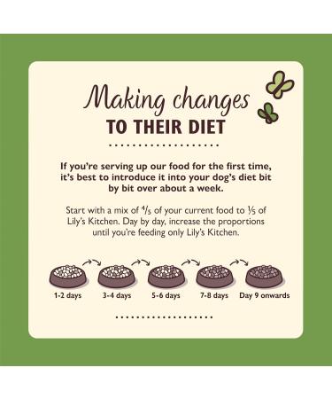 Lily s Kitchen Made with Natural Ingredients Adult Dry Dog Food Shepherd s Pie Balanced Recipe 2.5kg Bag Lamb 2.5 kg (Pack of 1) - Buy Online on GoSupps.com