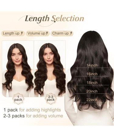 Benehair Micro Loop Human Hair Extension 20Inches Nano Rings Hair Extensions Real Human Hair 1g/strand 50g Hair Extensions Real Remy Micro Loop Human Hair Golden Brown&Bleach Blonde #12&613 20Inches Golden Brown Mix Bleach Blonde - Buy Online on GoSupps.com
